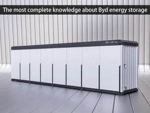 Das umfassendste Wissen über die Energiespeicherung von Byd