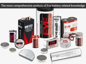 Die umfassendste Analyse des Wissens über Eve-Batterien